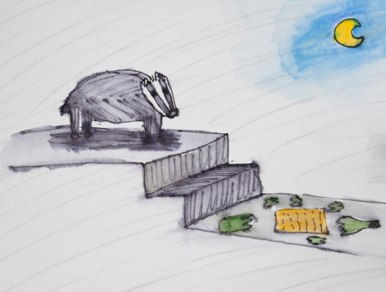 Paperback Copy of 'The Badger And The Bottle' Children's Book
